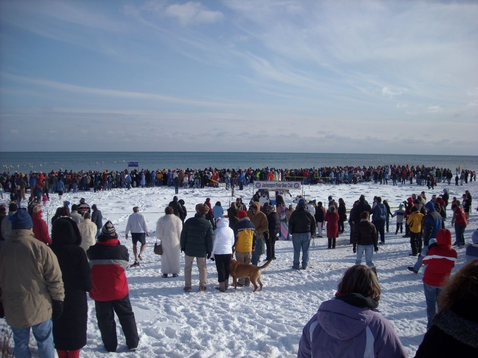Photos Jacksonport Polar Bear Club